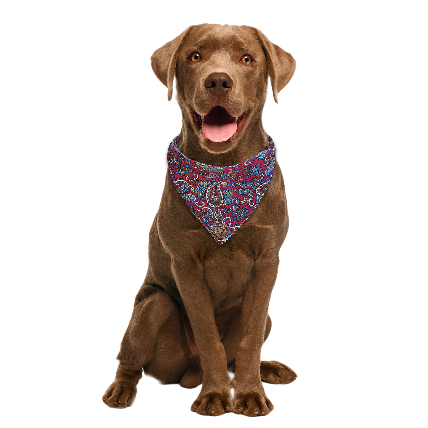 The Marlborough - Paisley Cord Red Tied Dog Bandana