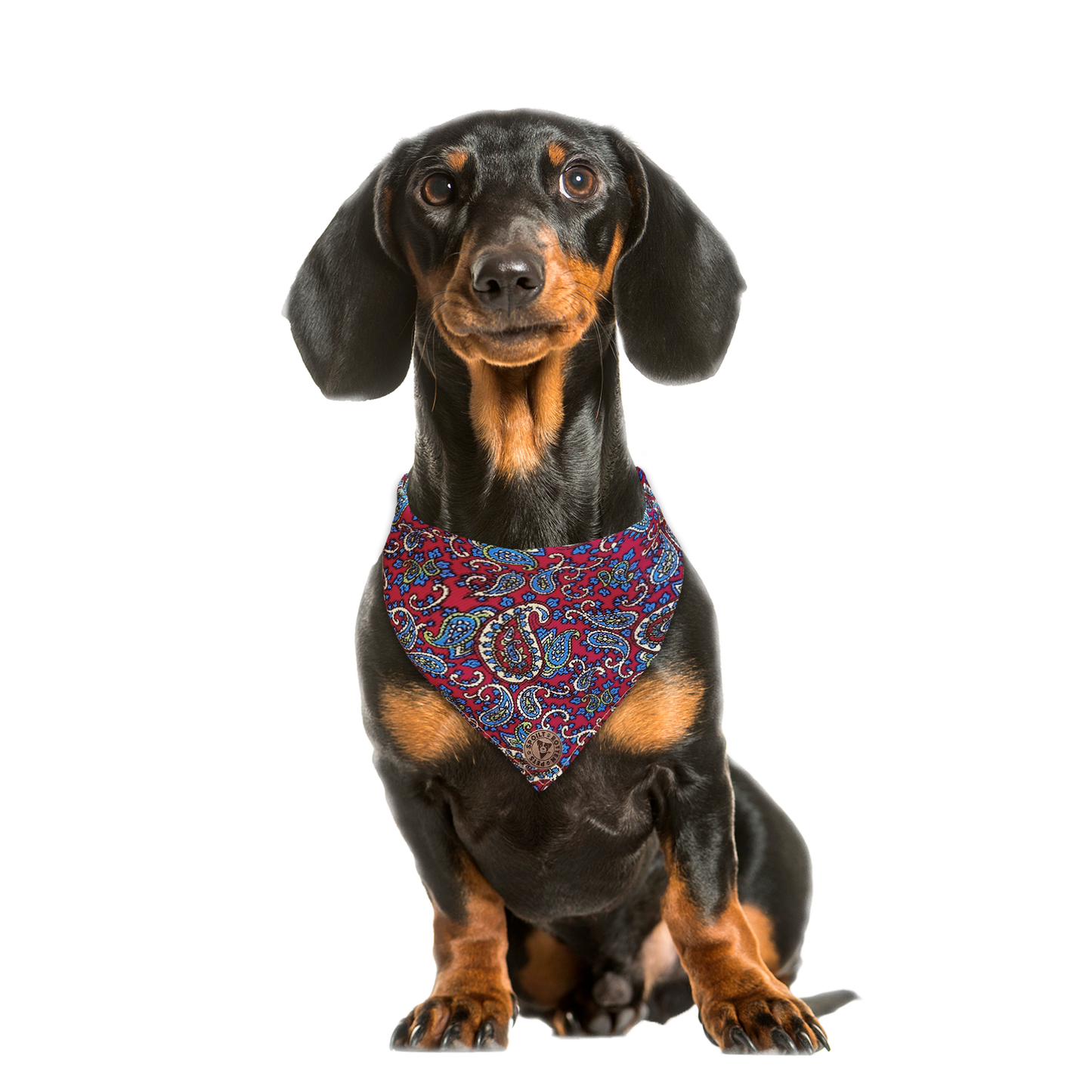 The Marlborough - Paisley Cord Red Tied Dog Bandana