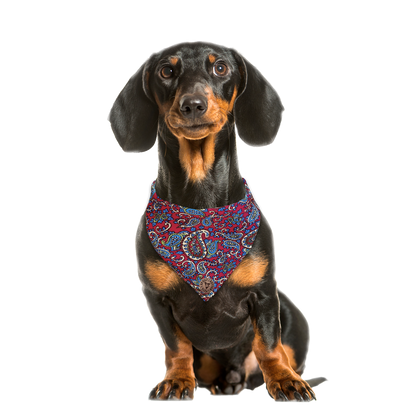 The Marlborough - Paisley Cord Red Tied Dog Bandana