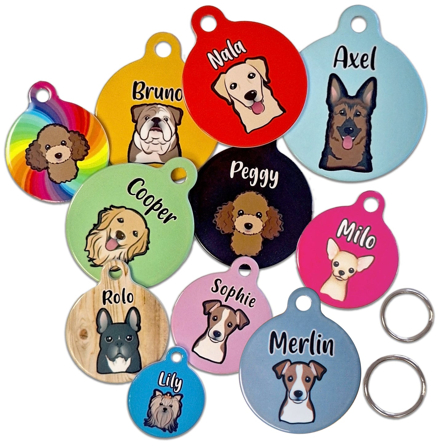 19mm Diameter Tiny Size - Australian Shepherd Dog