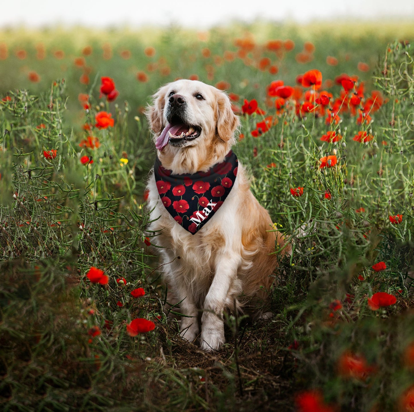 Poppy Any Wording Dog Bandana