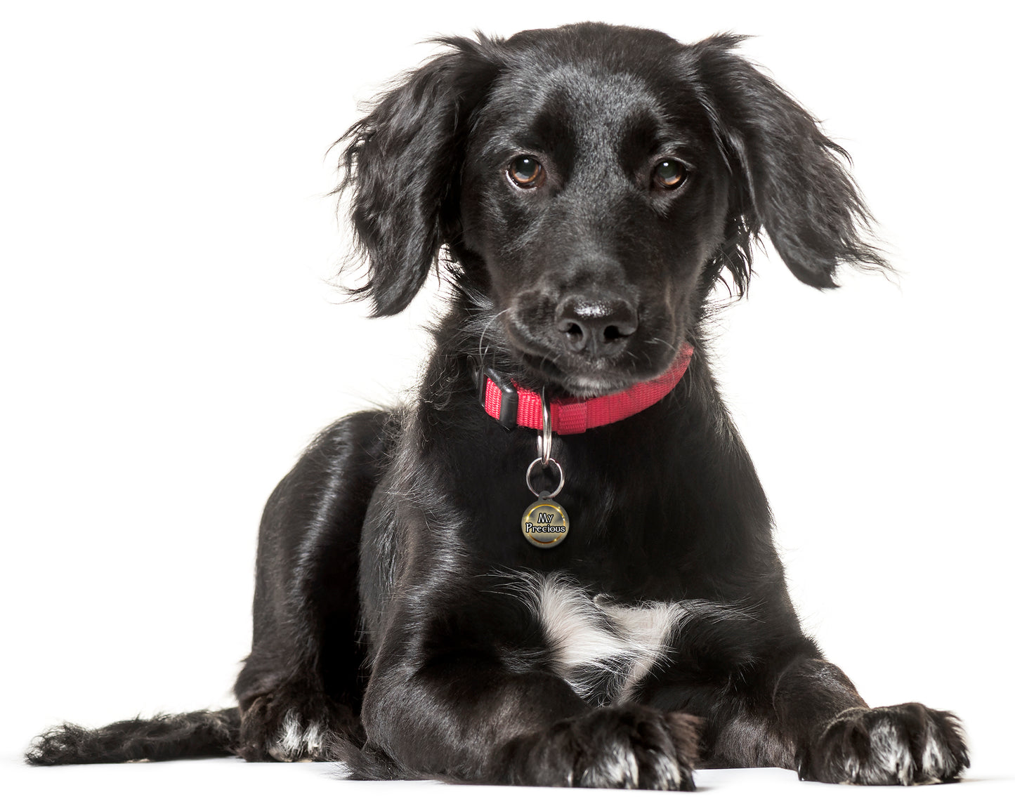 My Precious - Pet ID Tag