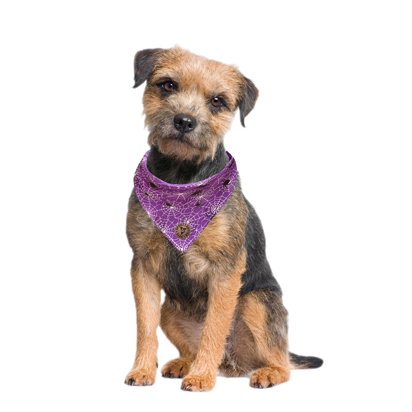 The Chillingham - Purple Cobweb Tied Dog Bandana