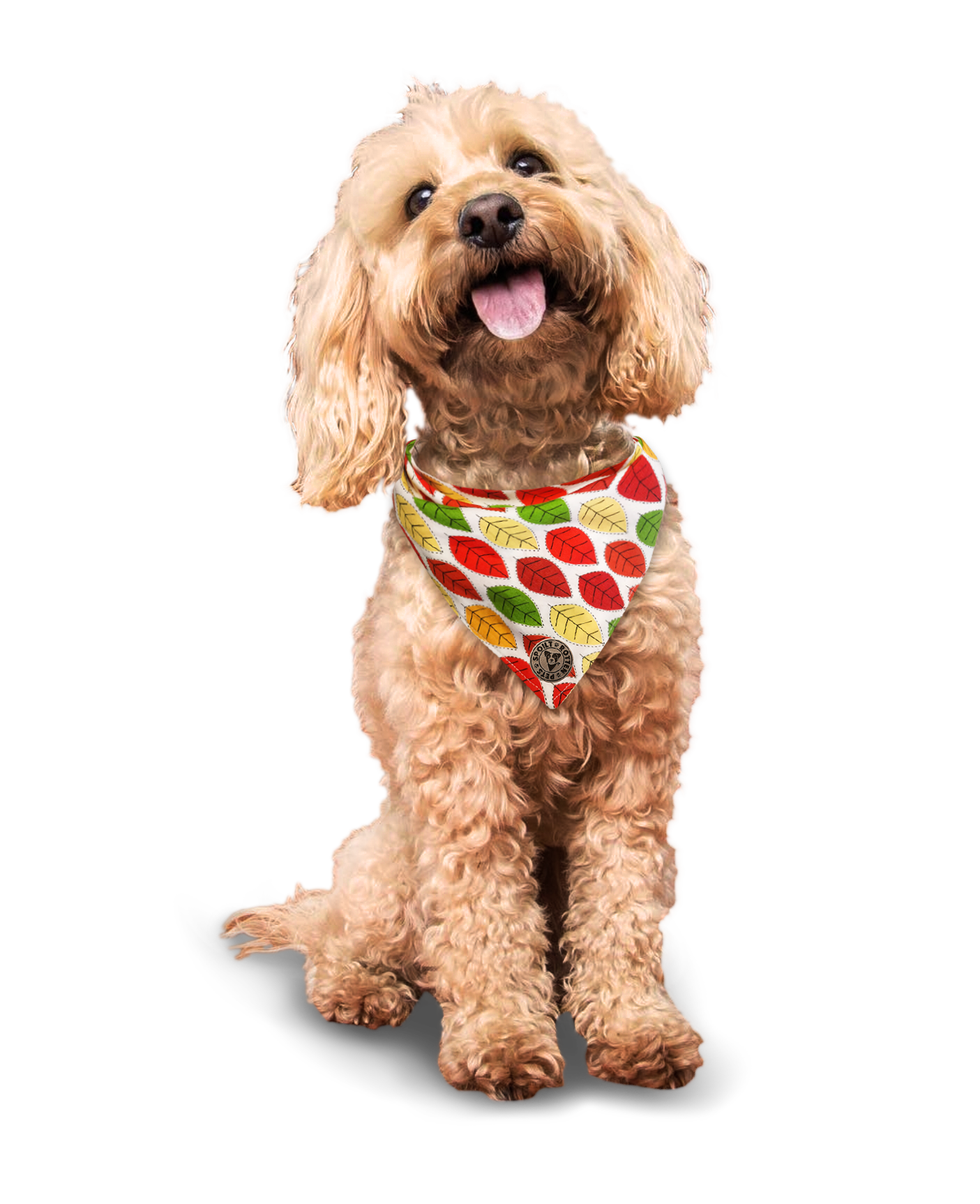 The Sherwood - Leaves Autumn Tied Dog Bandana