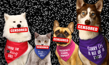 I'm A Barky Cunt