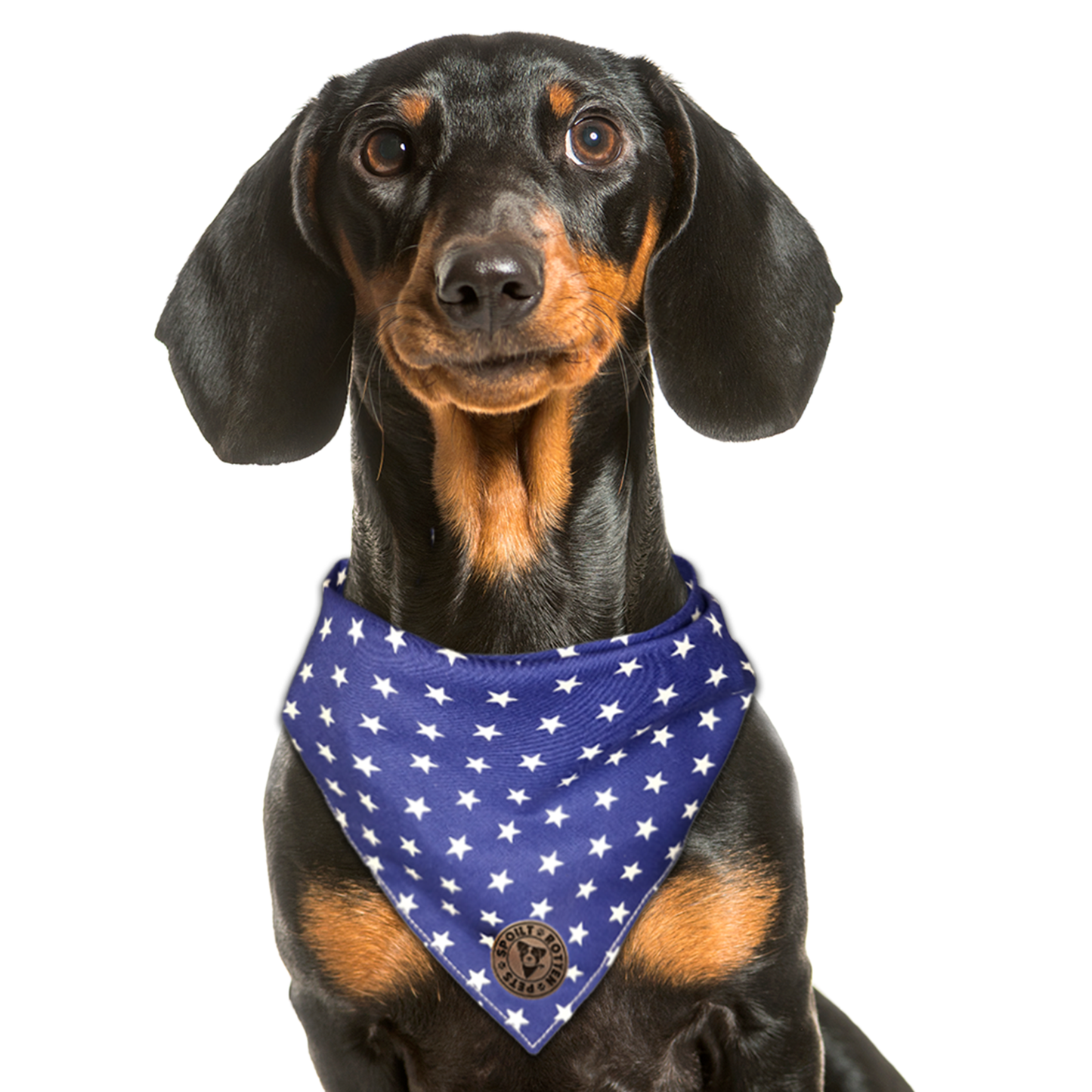 Tiny Star Navy Tied Dog Bandana