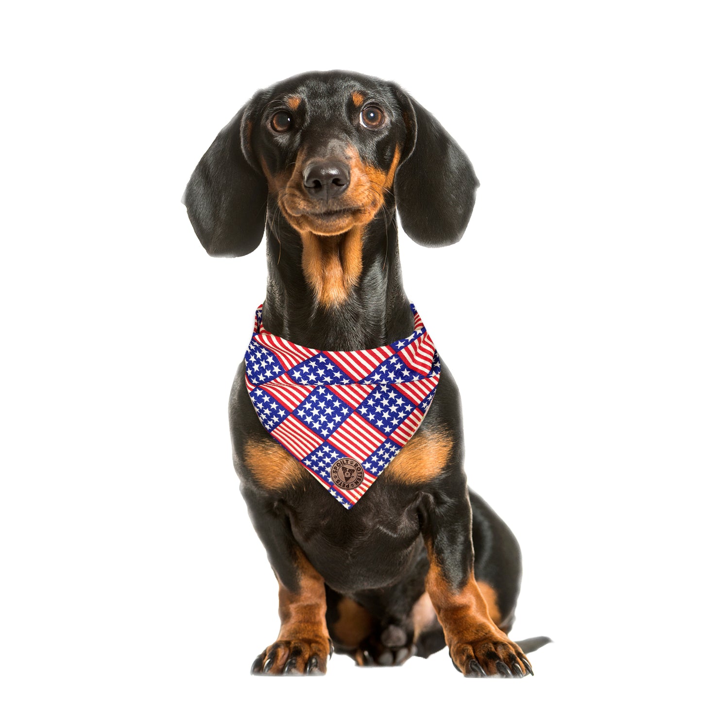 The Washington - American Flag Tied Dog Bandana