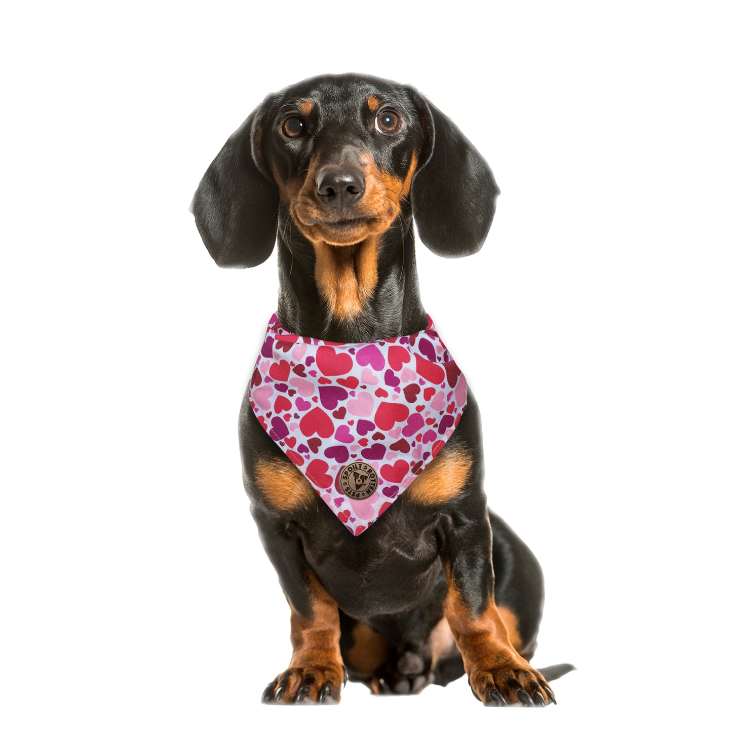 The Beaulieu - Pink Hearts Tied Dog Bandana