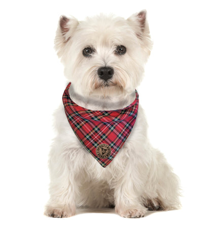 The Balmoral - Red Tartan Tied Dog Bandana