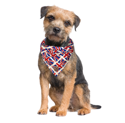 The London - Union Jack Tied Dog Bandana