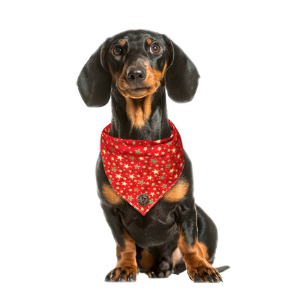 The Piccadilly - Christmas Green & Gold Stars Tied Dog Bandana