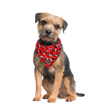 The Bakewell - Christmas Pudding Tied Dog Bandana