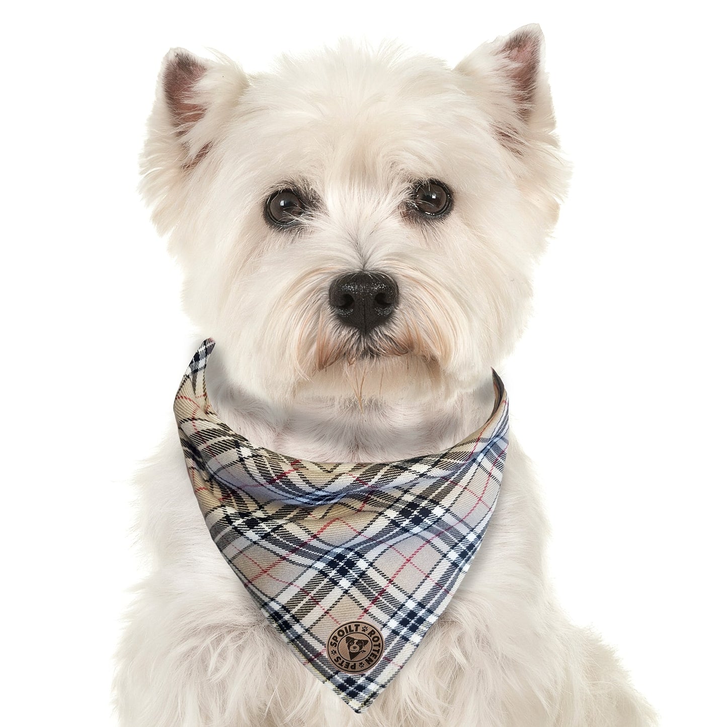 The Aberdeen - Beige Tartan Tied Dog Bandana