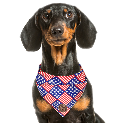 The Washington - American Flag Tied Dog Bandana