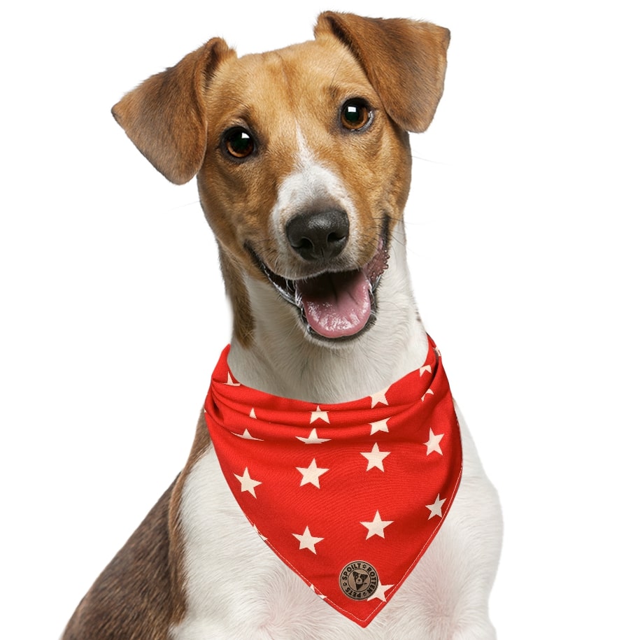 The Liverpool - Large Star on Red Tied Dog Bandana