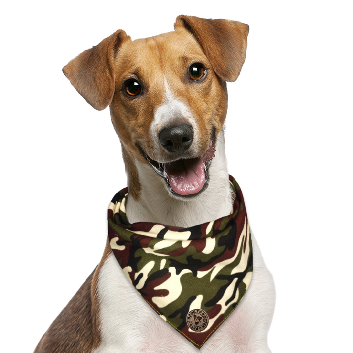 The Colchester - Camo Green Tied Dog Bandana