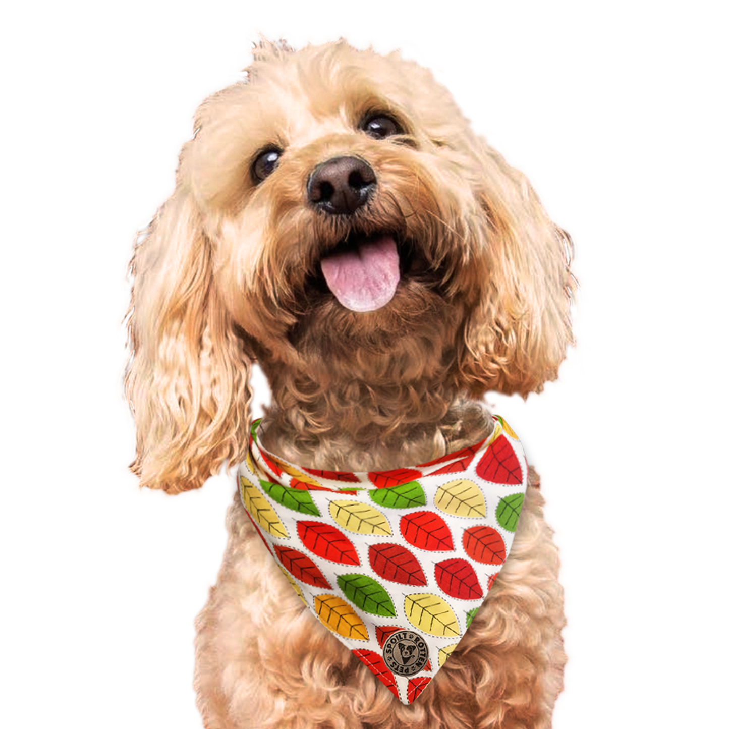 The Sherwood - Leaves Autumn Tied Dog Bandana