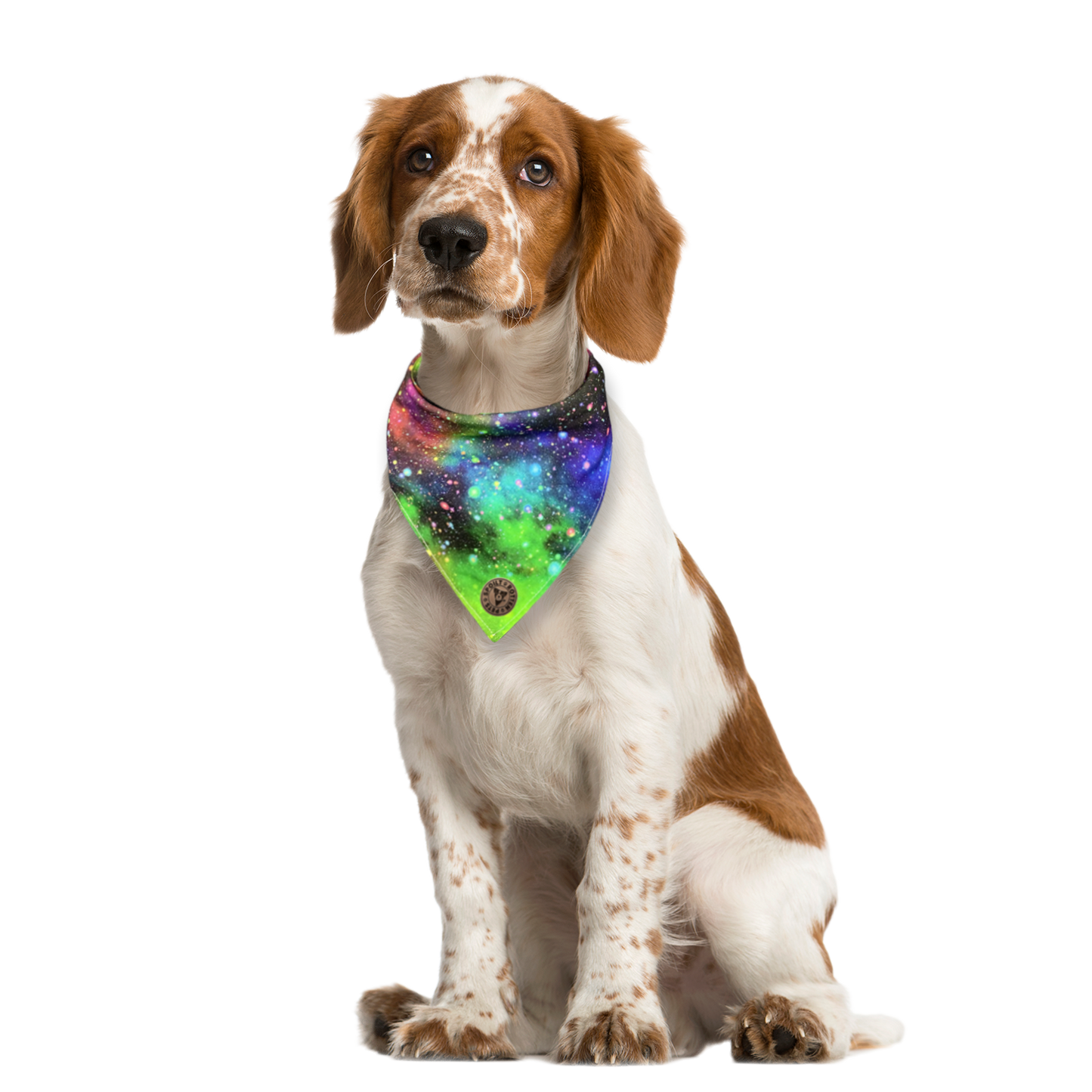 The Greenwich - Galaxy Rainbow Tied Dog Bandana
