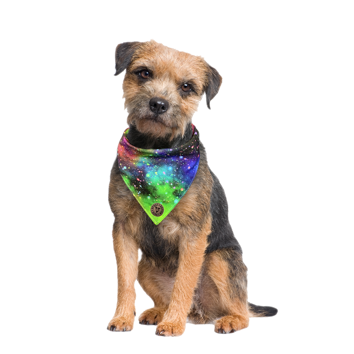 The Greenwich - Galaxy Rainbow Tied Dog Bandana