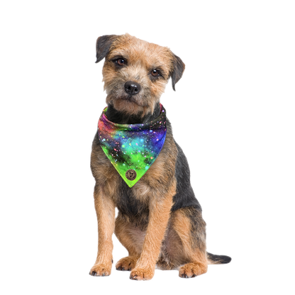 The Greenwich - Galaxy Rainbow Tied Dog Bandana