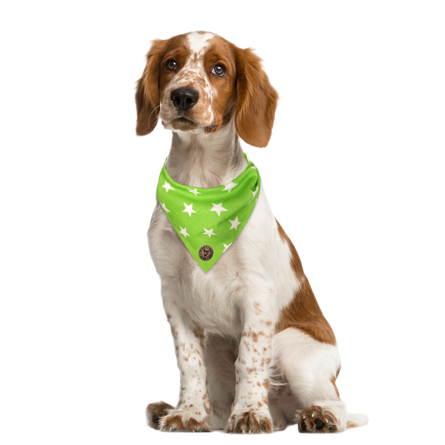 The Cheltenham - Large Star on Lime Tied Dog Bandana