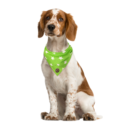 The Cheltenham - Large Star on Lime Tied Dog Bandana