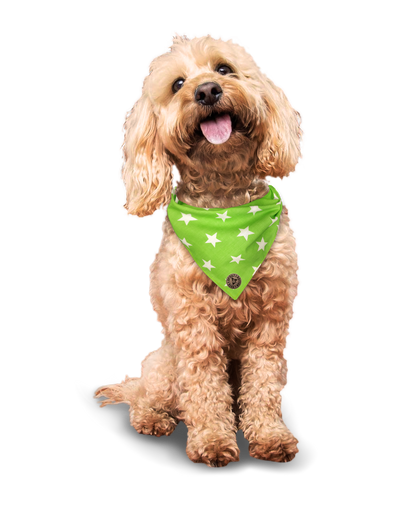 The Cheltenham - Large Star on Lime Tied Dog Bandana