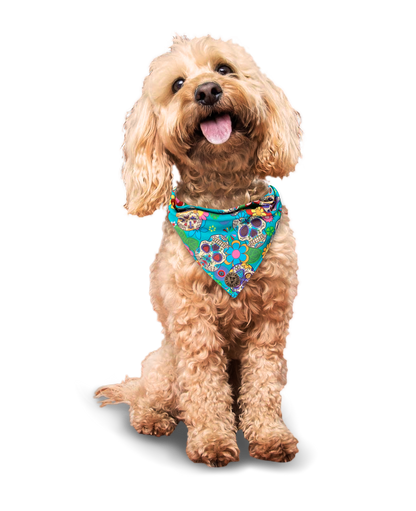 The York - Blue Sugar Skulls Dog Bandana