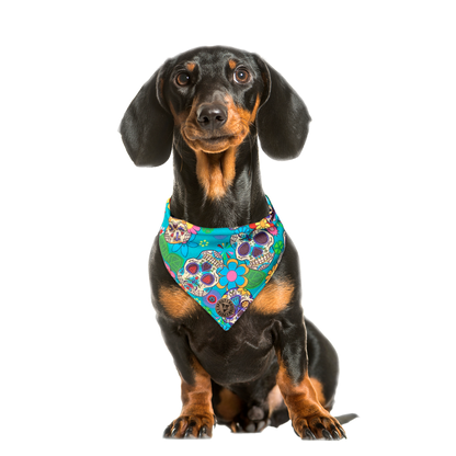 The York - Blue Sugar Skulls Dog Bandana