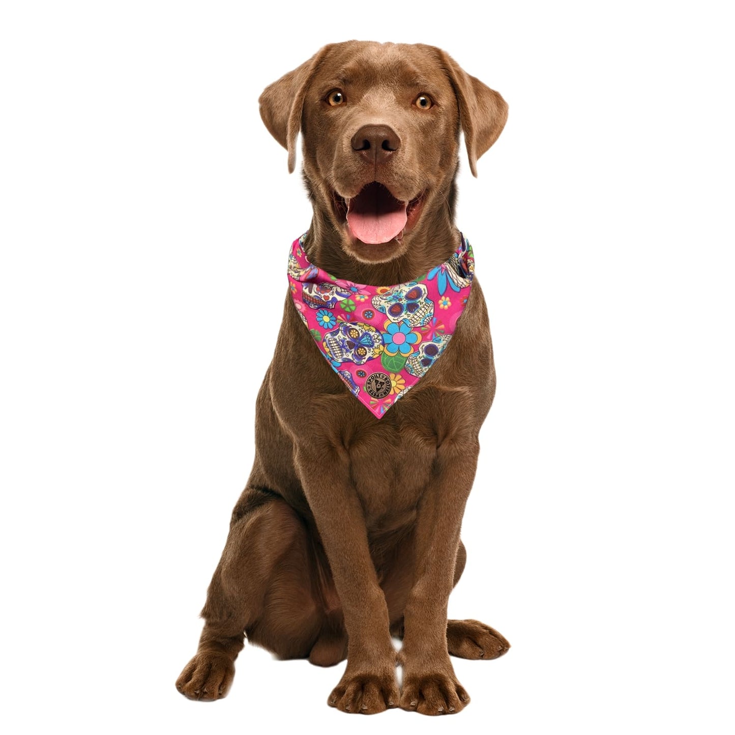 The Whitby - Pink Sugar Skulls Dog Bandana