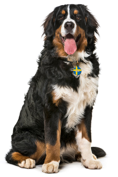 Sweden - Pet ID Tag