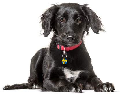 Sweden - Pet ID Tag