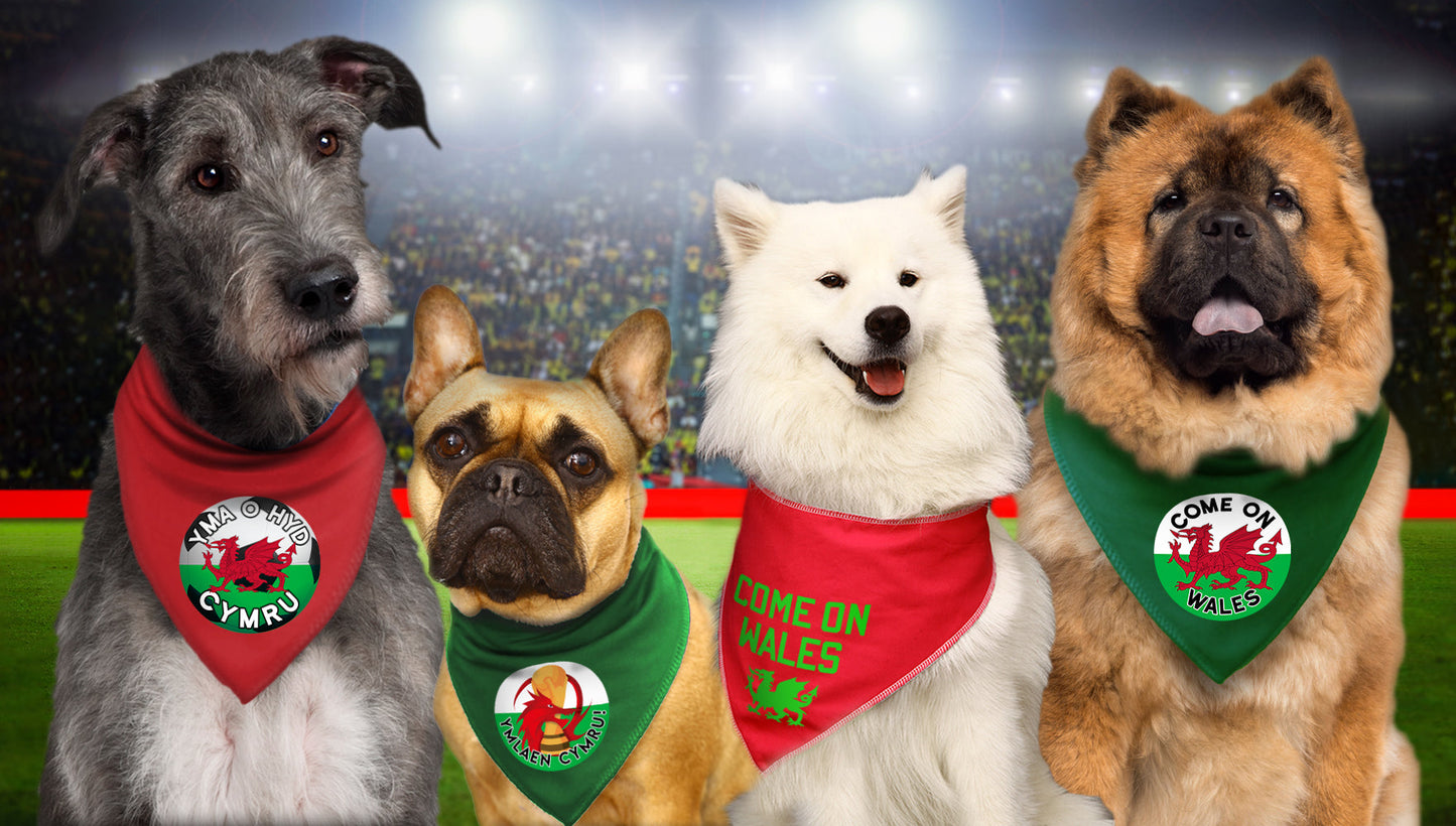 Come On Wales Circle Dog Bandana