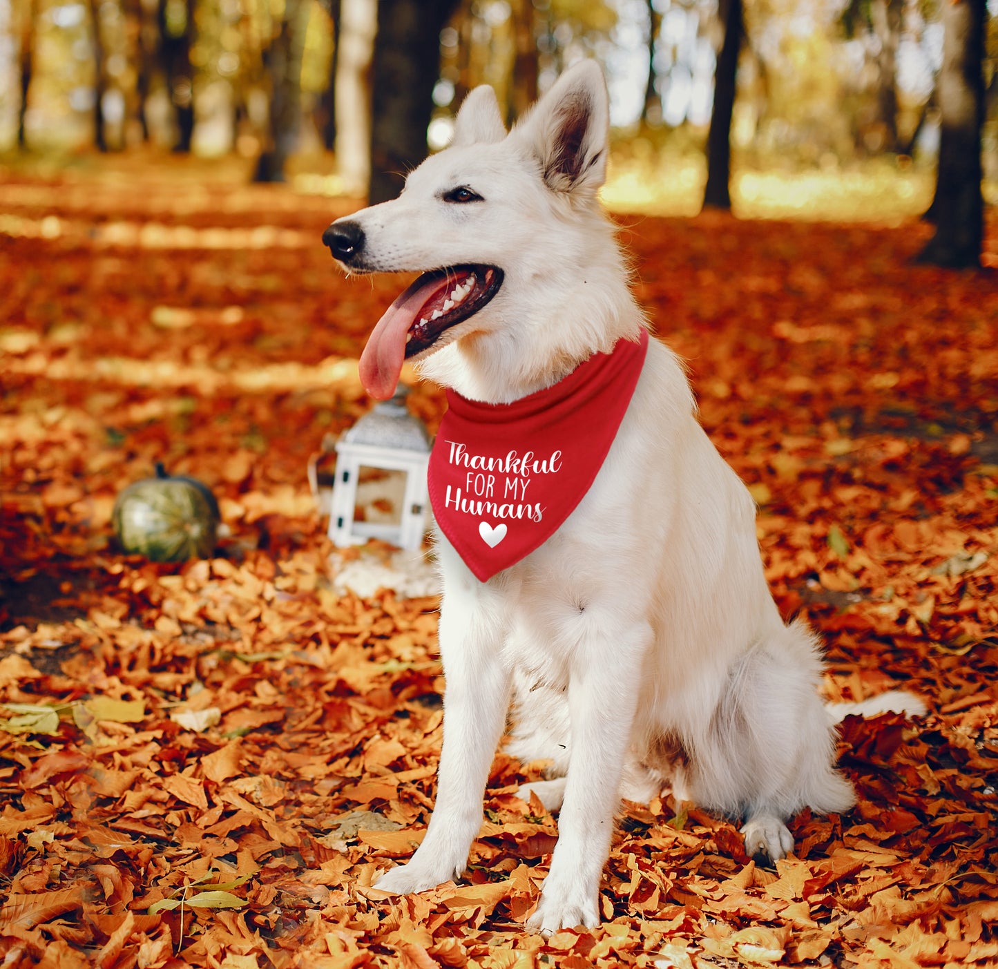 Thankful For My Humans Dog Bandana