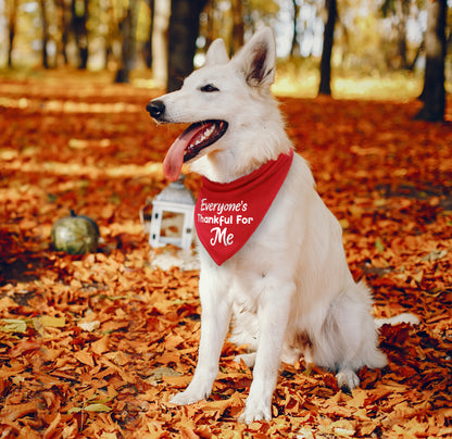 Everyone's Thankful For Me Dog Bandana