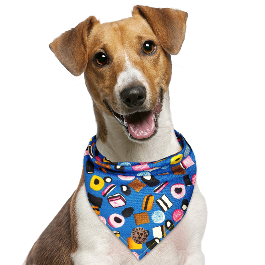 The Scarborough - Liquorice Allsorts Blue Tied Dog Bandana
