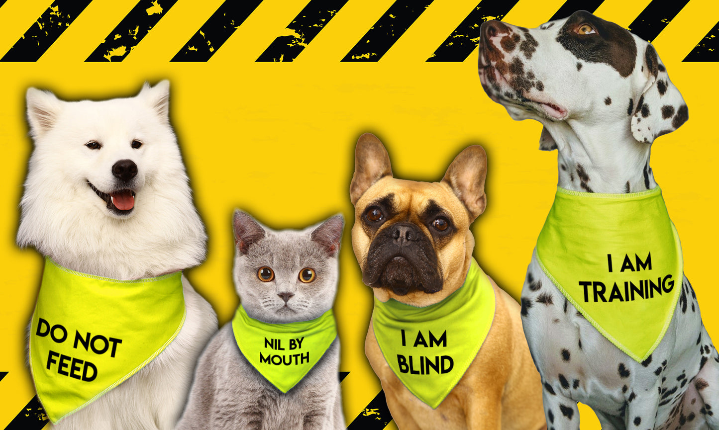 SENSORY DOG Warning Sign Black Dog Bandana