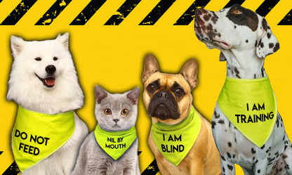 ASPERGERS BUDDY Hi Vis Dog Bandana