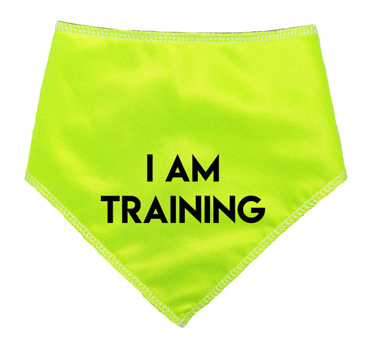 I AM TRAINING Hi Vis Dog Bandana