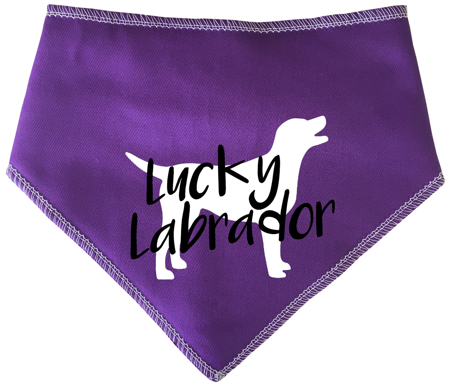 Lucky Labrador Dog Bandana
