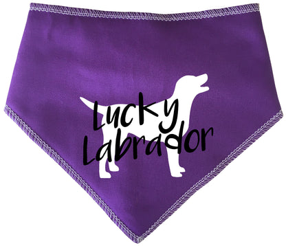 Lucky Labrador Dog Bandana