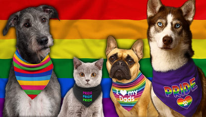 Love Is Love Rainbow LGBT Dog Bandana
