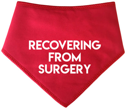 Recovering From Surgery Dog Bandana