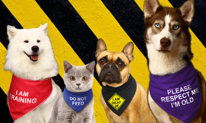 Do Not Distract Working Dog Bandana