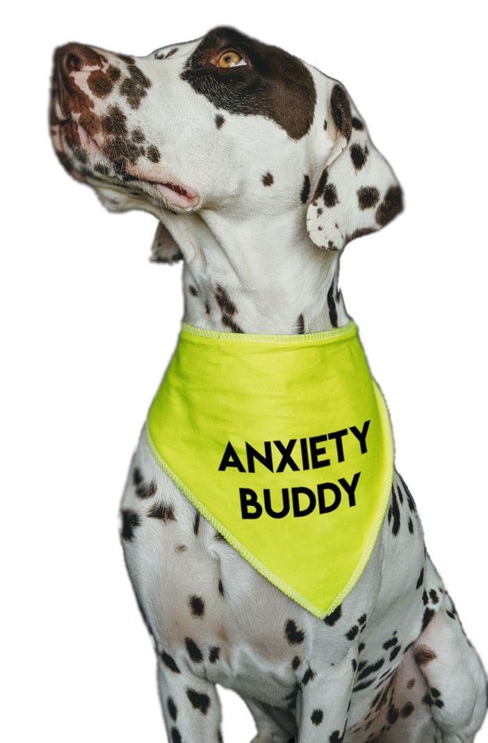 'ANXIETY BUDDY' Alert Hi Vis Dog Bandana