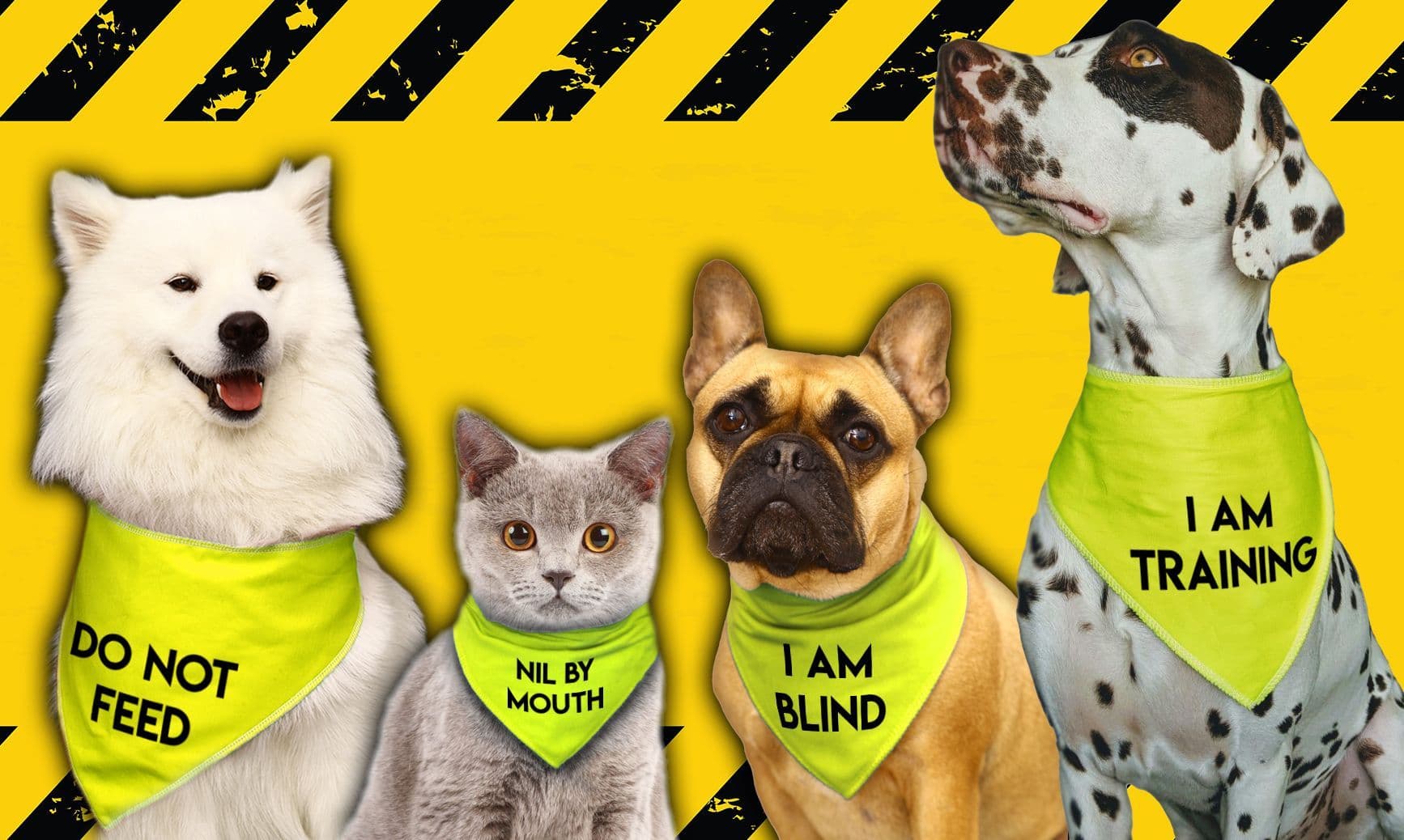 'ASSISTANCE DOG' Alert Hi Viz Dog Bandana