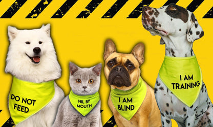 'ASSISTANCE DOG' Alert Hi Viz Dog Bandana