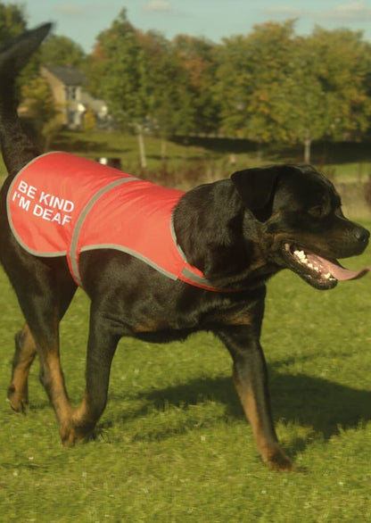 'Be Kind I'm Deaf' High Visibility Lightweight Coat