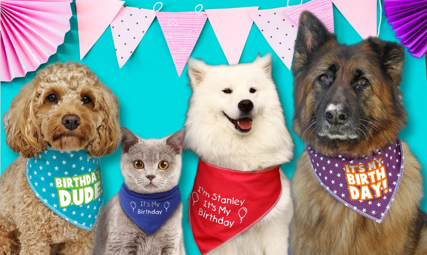 Birthday Girl Pastel Rainbow Dog Bandana