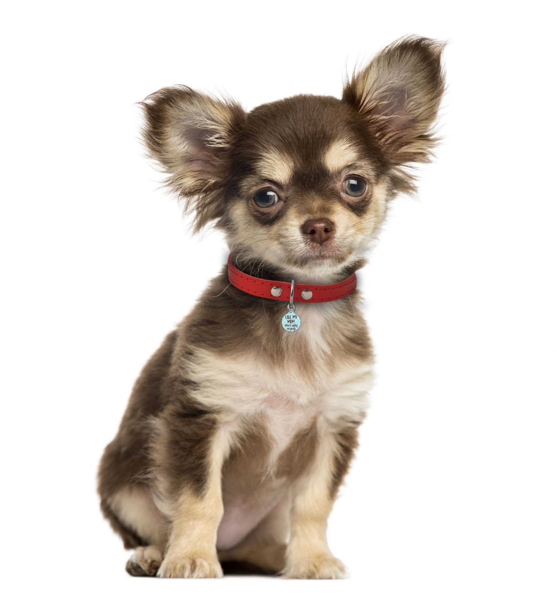 Call My Mum She's Ugly Crying Pink - Pet (Dog & Cat) ID Tag